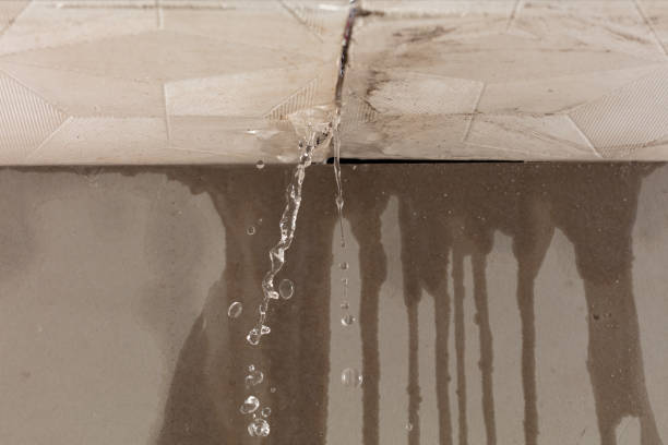 Professional Water Extraction technician working in Wren, OH